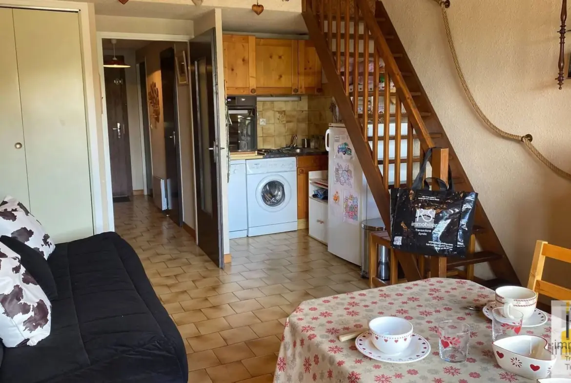 Studio mezzanine lumineux à vendre au cœur des Carroz, 31 m² avec garage et vue ensoleillée 