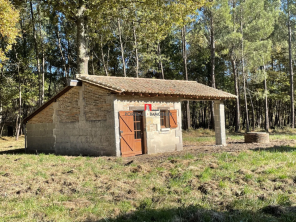 Parcelle de forêt et prairie de plus de 15 ha à Laruscade en zone naturelle