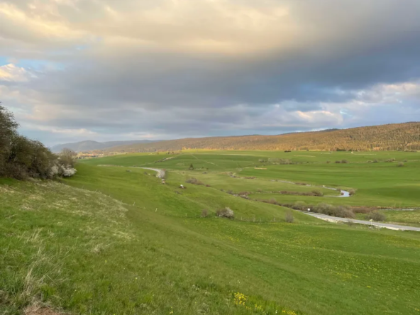 Terrain constructible de 12 ares à Mouthe – Vue dégagée et emplacement privilégié