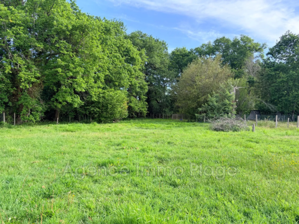 Terrain à vendre à Saint-Vivien-de-Médoc – Idéal pour votre maison familiale