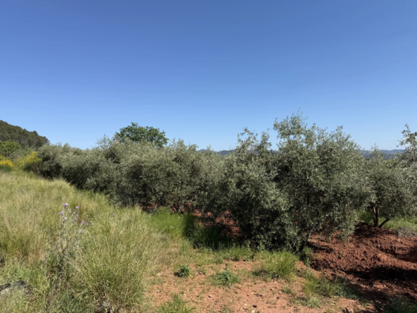 Terrain constructible avec vue dominante à Puget-Ville - Viabilisé et orienté SUD