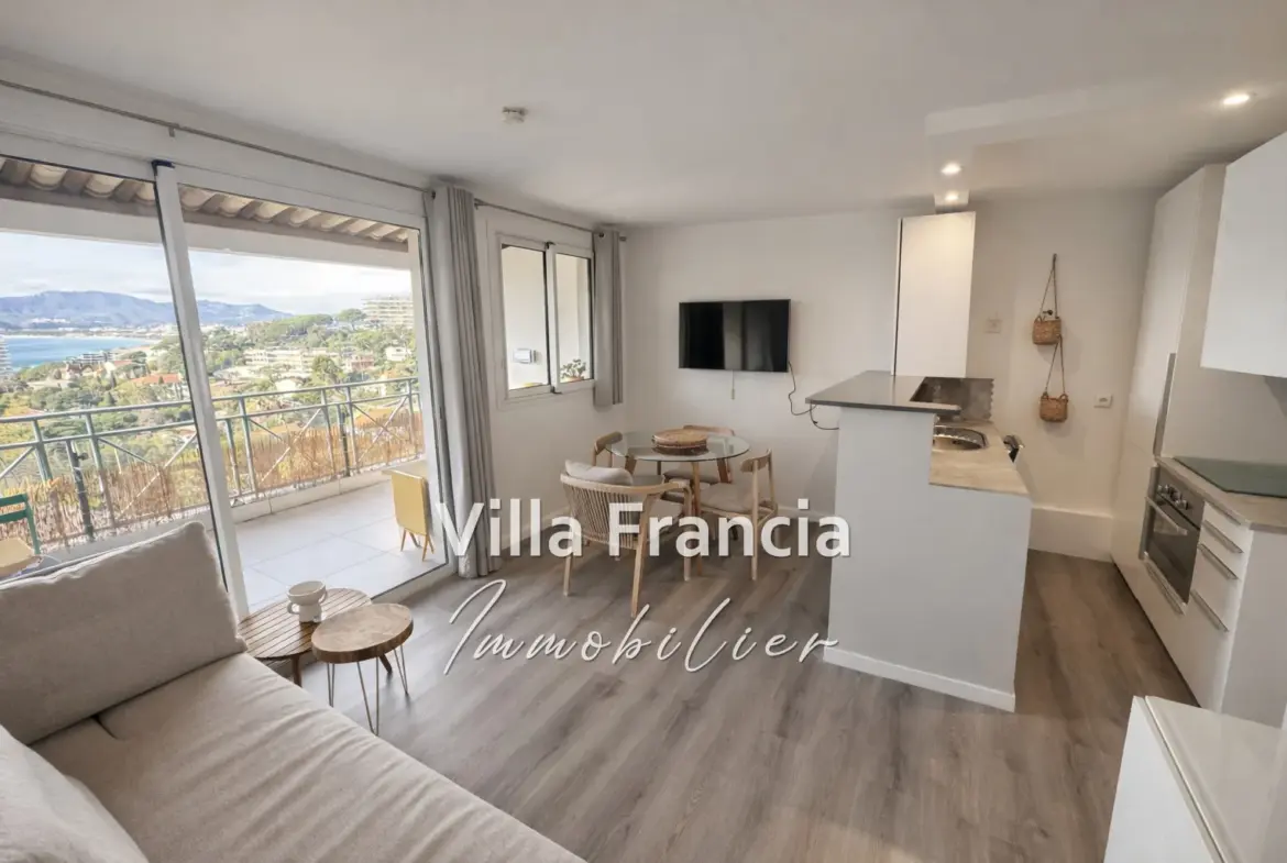 Bel appartement 2/3 pièces avec vue mer à Cannes, terrasse et piscine 