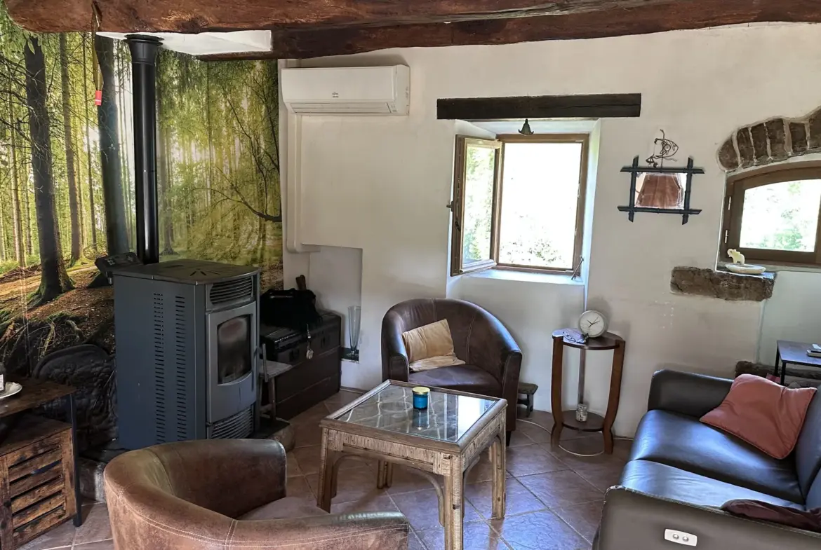 Charmante maison ancienne à Ceilhes et Rocozels avec dépendances et vue dégagée 