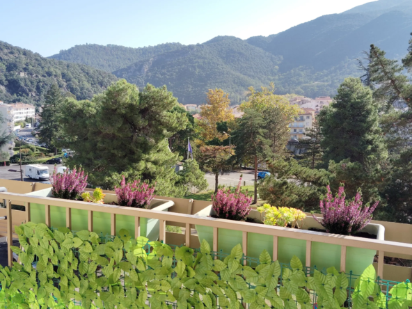 Appartement F3 rénové avec terrasse et vue dégagée à Amélie-les-Bains