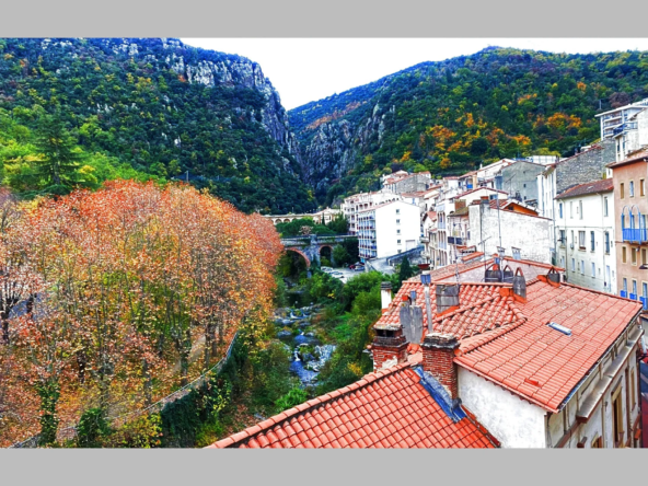 Vente appartement F3 meublé à Amélie-les-Bains, proche thermes