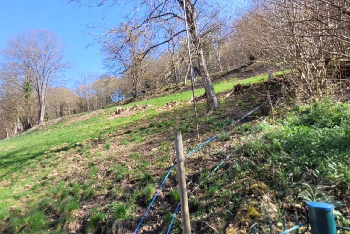 Maison T4 de 70 m² à Eschbach-au-Val avec jardin et garage 