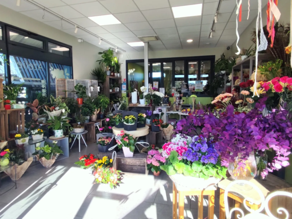 Fonds de commerce de fleuriste à Brizambourg avec forte visibilité et potentiel de croissance