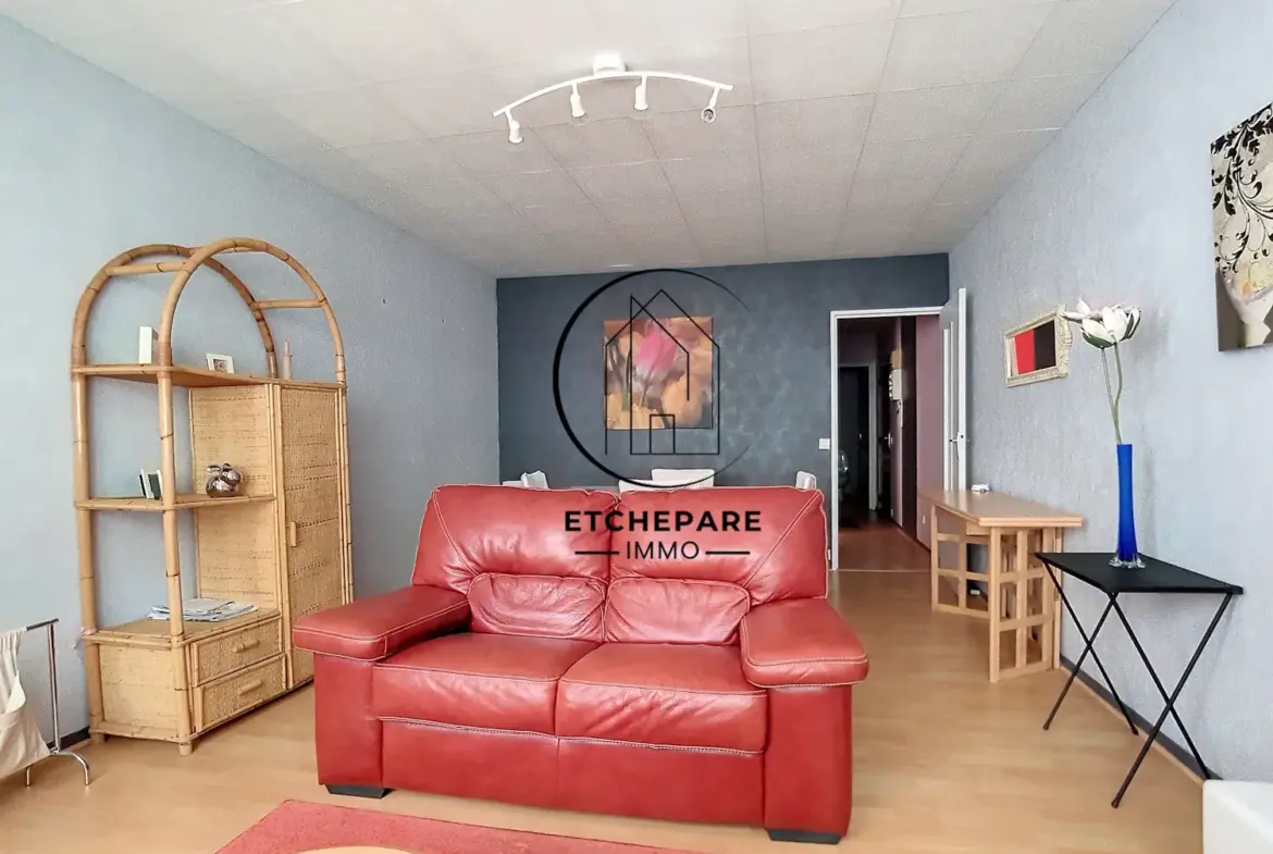 Appartement T2 à Gourette Pyrénées, idéal investissement ou résidence secondaire 