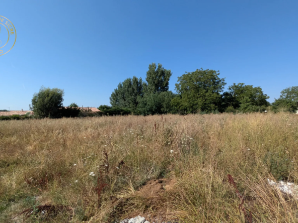 Terrain à bâtir viabilisé de 1027 m² à Auterive Nord – Opportunité rare