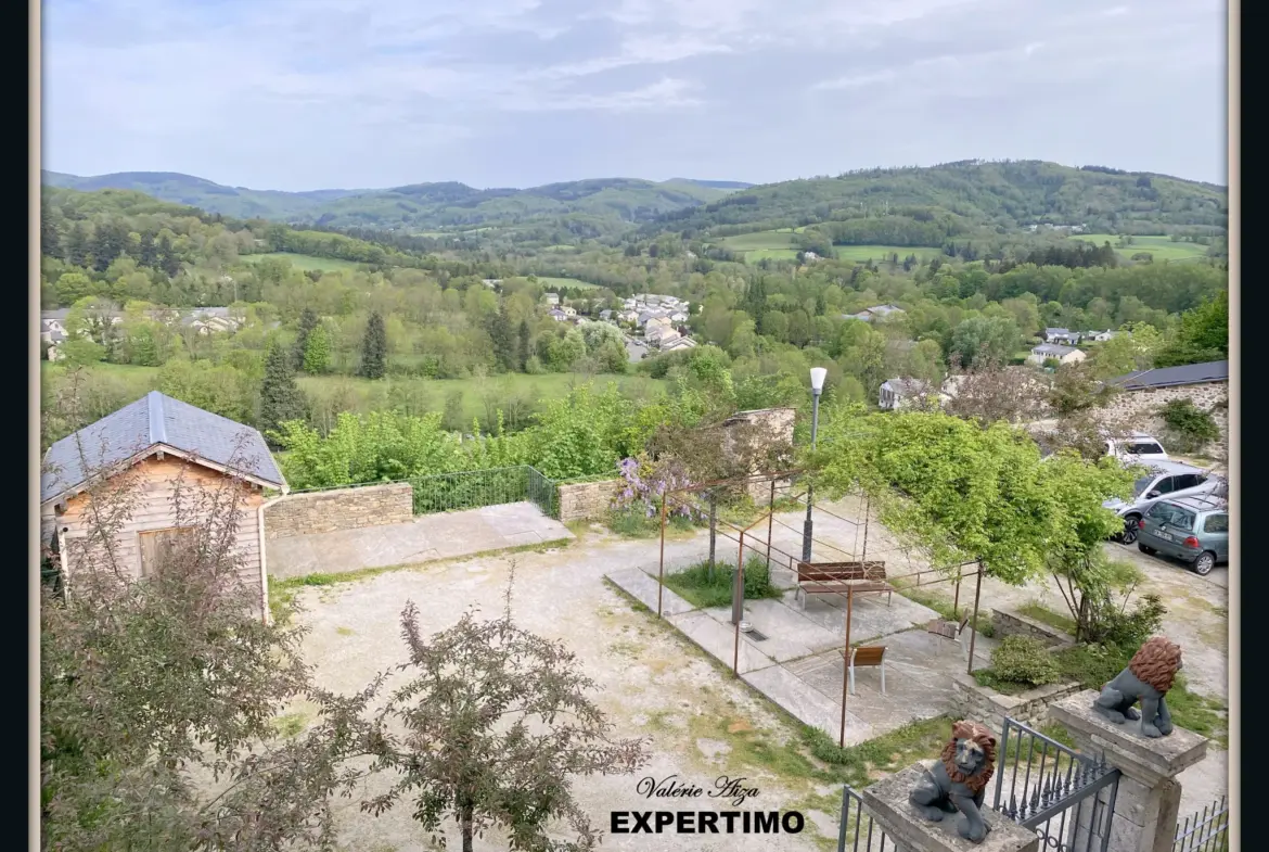 Grande maison de village avec terrasse et balcon à La Salvetat-sur-Agout 
