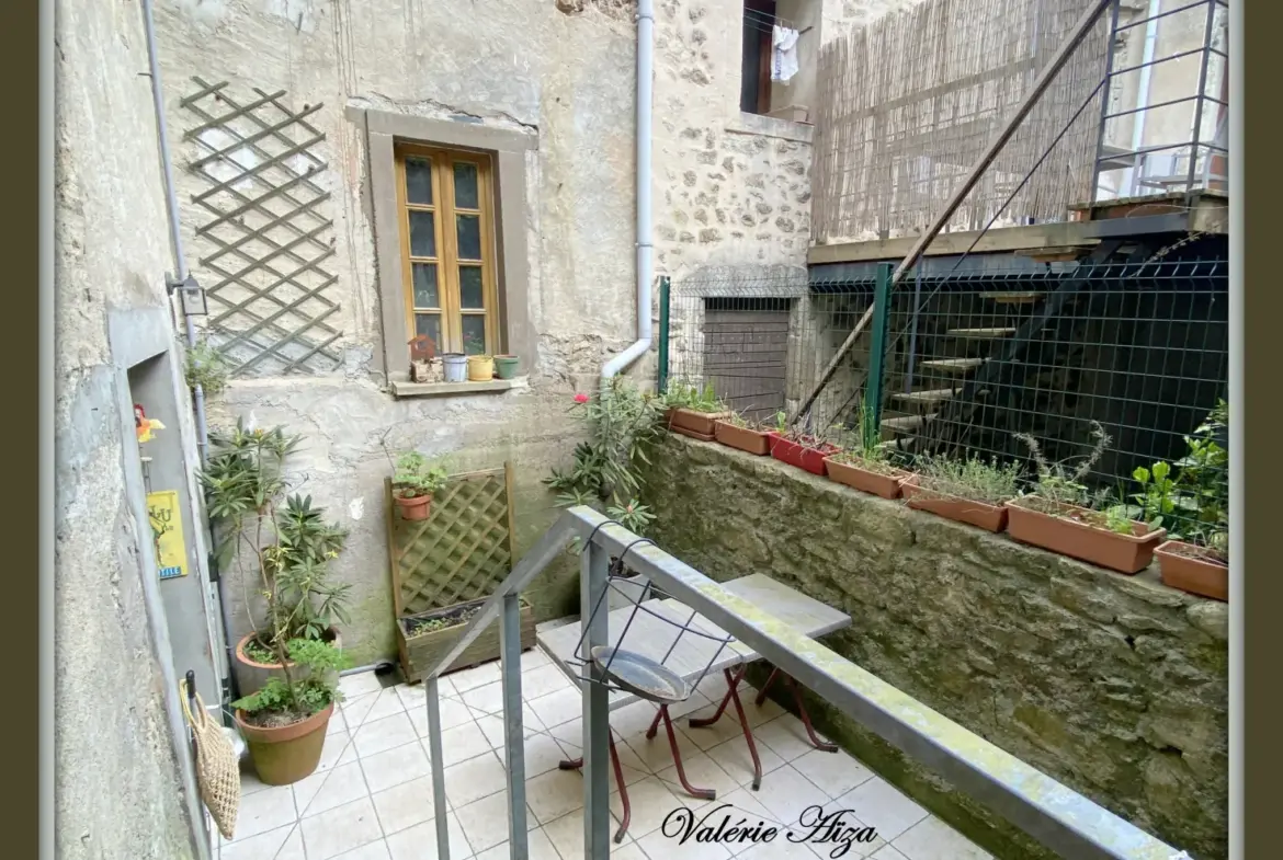 Grande maison de village avec terrasse et balcon à La Salvetat-sur-Agout 