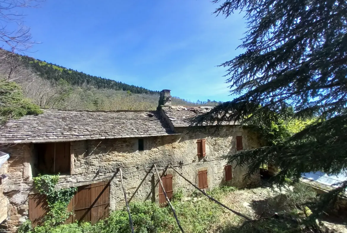 Ferme à rénover de 14ha à Premian avec dépendances, bois et pâtures 