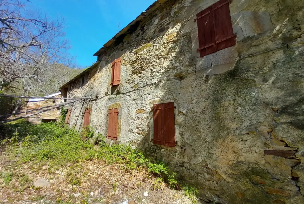 Ferme à rénover de 14ha à Premian avec dépendances, bois et pâtures 