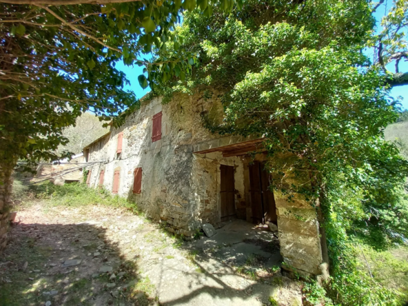 Ferme à rénover de 14ha à Premian avec dépendances, bois et pâtures
