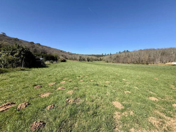 Terrain constructible de 5460 m² à Saint Vincent le Paluel