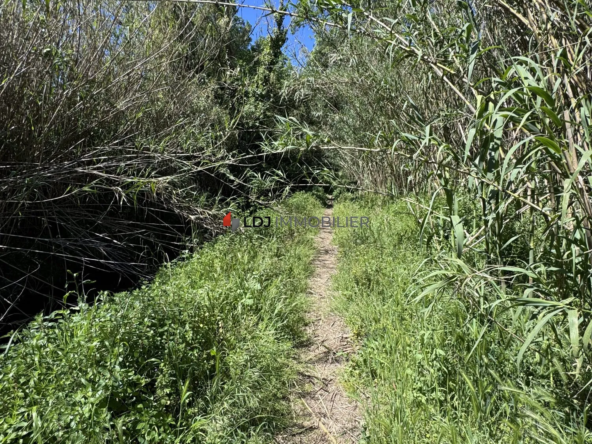 Parcelle de terrain non constructible de 2926 m² entre Perpignan et Canet