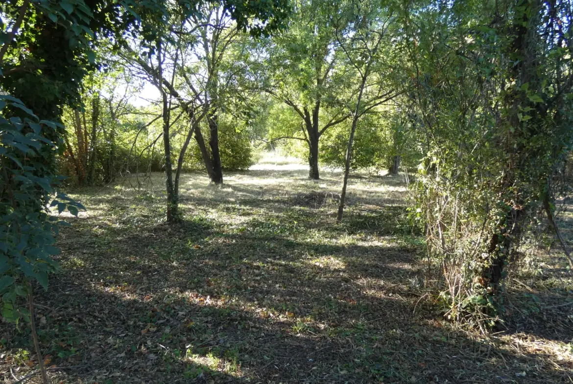 Terrain constructible à Sollies-Pont avec projet pour villa avec piscine 