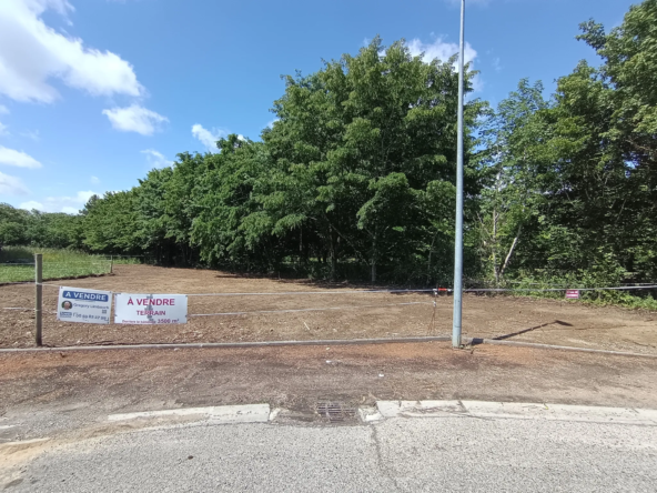 Terrain constructible de 3879 m² à Montech en zone artisanale