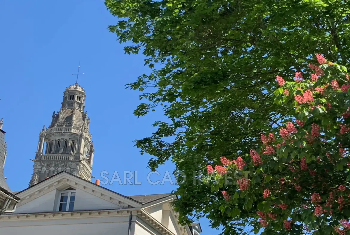 Magnifique duplex 40 m² dans l'hyper centre de Tours avec parking et cave 