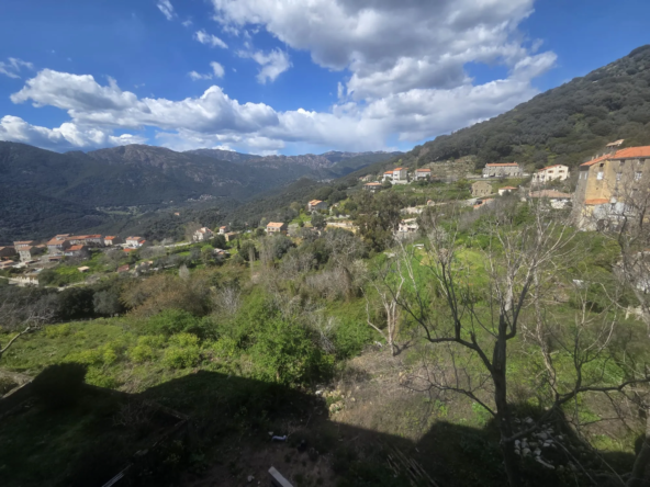 Appartement T4 rénové avec terrasse et vue vallée à Sainte Lucie de Tallano