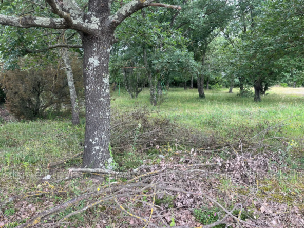 Terrain à bâtir de 503 m² à Maureillas-las-Illas, environnement calme