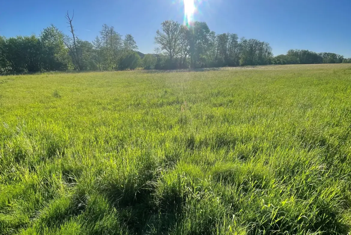 Terrain constructible à Magny de 30 ares, divisible et libre de constructeur 