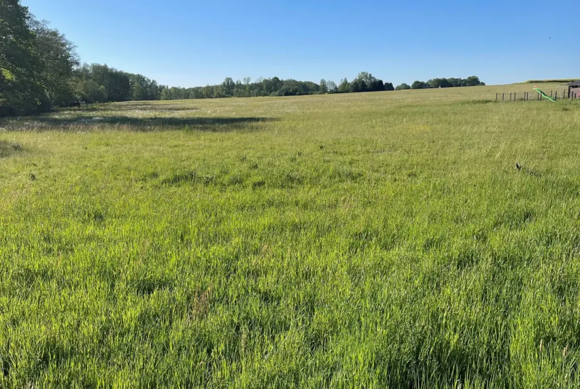Terrain constructible à Magny de 30 ares, divisible et libre de constructeur 