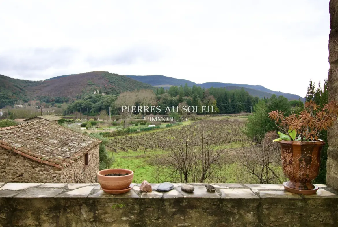 Charmante maison de village 3 pièces avec terrasse à Le Bousquet-d'Orb 