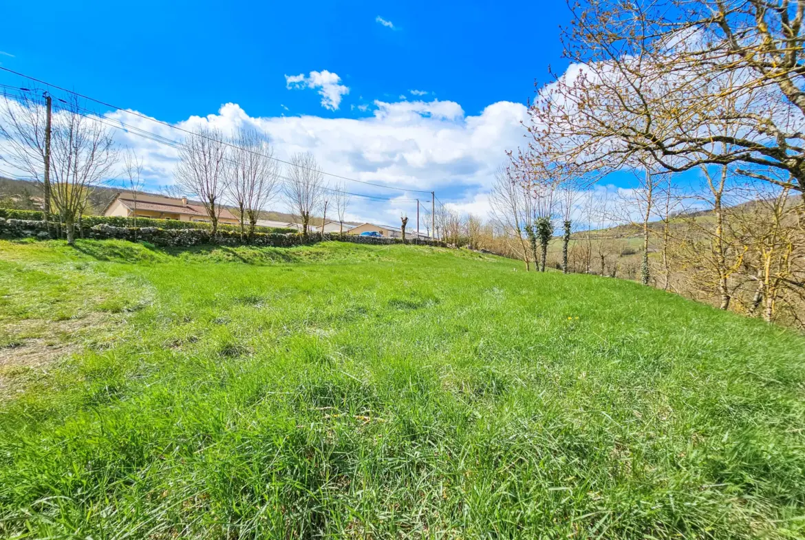 À vendre maison en pierre de plain-pied avec garage et dépendances à Saint-Beaulize 