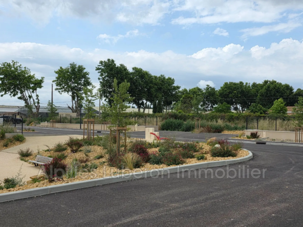 Terrain constructible à vendre à Maillane près de Saint Rémy de Provence