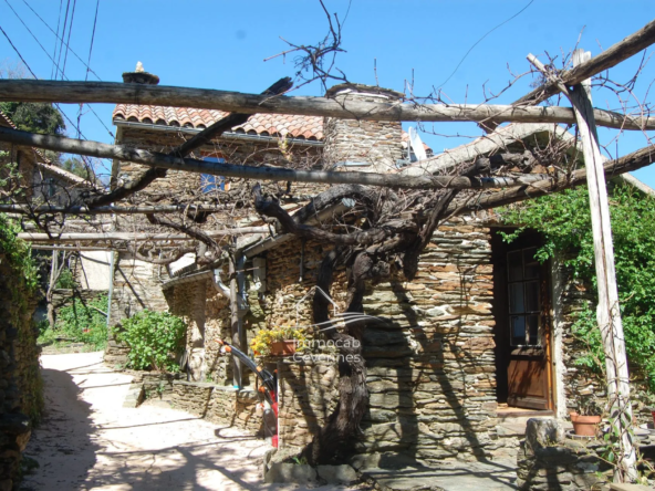 Magnifique mas en pierre avec deux habitations et vue panoramique dans les Cévennes