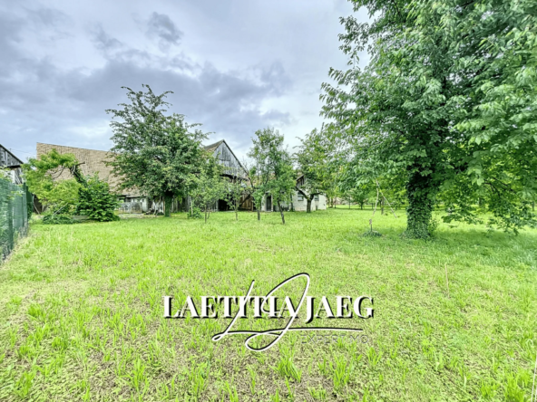 Terrain constructible de 17 ares avec dépendance à Boofzheim