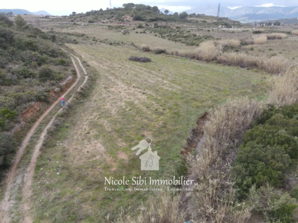 Terrain agricole de 6860 m² à Estagel, parfait pour oliveraie ou rucher