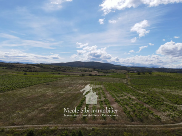 Domaine agricole de 5 hectares avec oliveraie et ruine en pierre à Montner