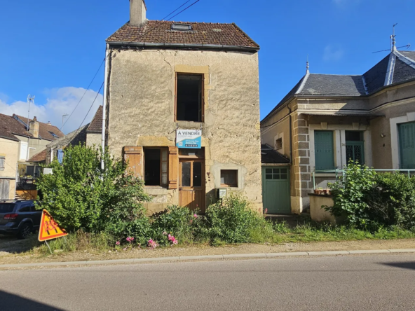 Two Houses with Large Garden to Renovate in Saint Père 89450