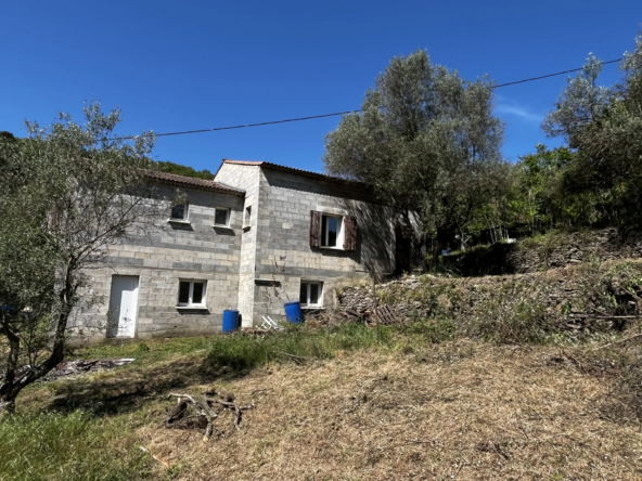 Maison de plain-pied à Saint Ambroix avec grand garage et terrain de 2382 m²