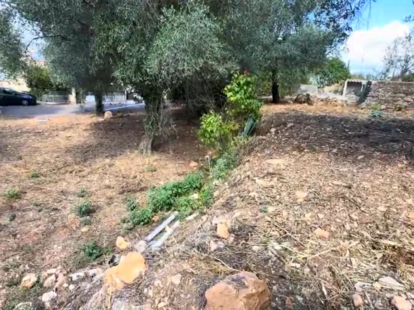 Terrain constructible à La Trinité (573 m²), vue sur collines, environnement paisible