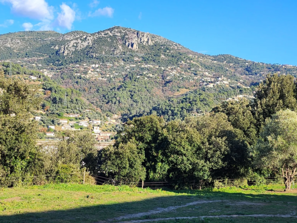 Terrain à bâtir de 482 m² à Carros - Construction libre dans secteur résidentiel