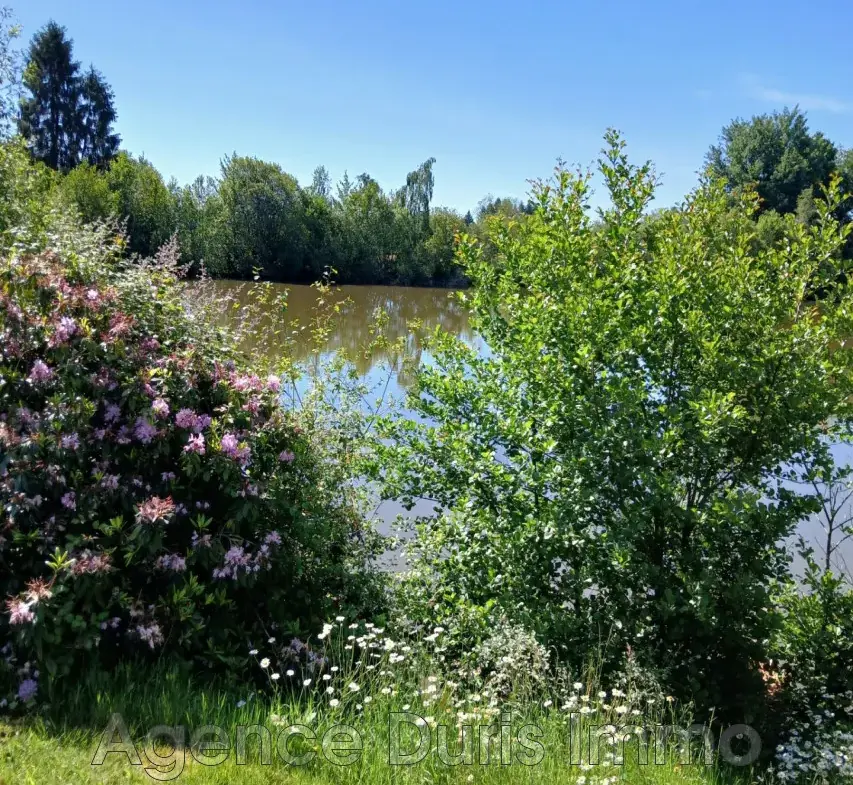 À vendre maison avec étang et terrain à Saint Yrieix la Perche 