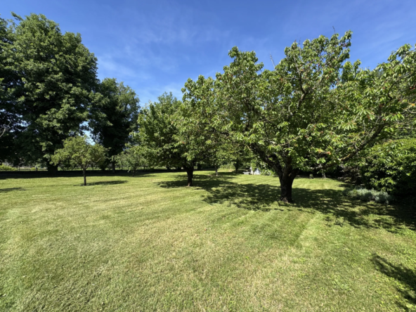 Terrain constructible de 1500 m² à Saint-Paul-lès-Romans - Environnement paisible