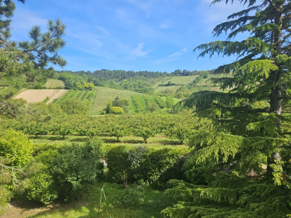 Maison à vendre à Jussy avec vue sur les vignes - 138 m²