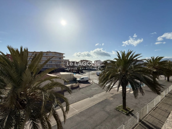 Appartement avec vue mer à Saint-Cyprien-Plage – 2 pièces, terrasse, proche commodités