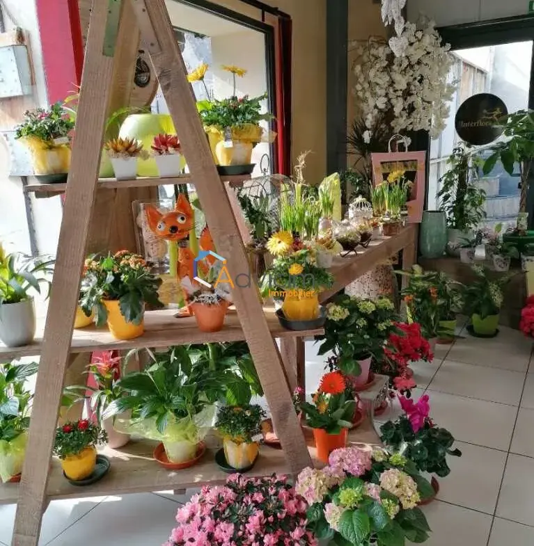 Fonds de commerce fleuriste à vendre à Dun-sur-Auron avec emplacement de choix 