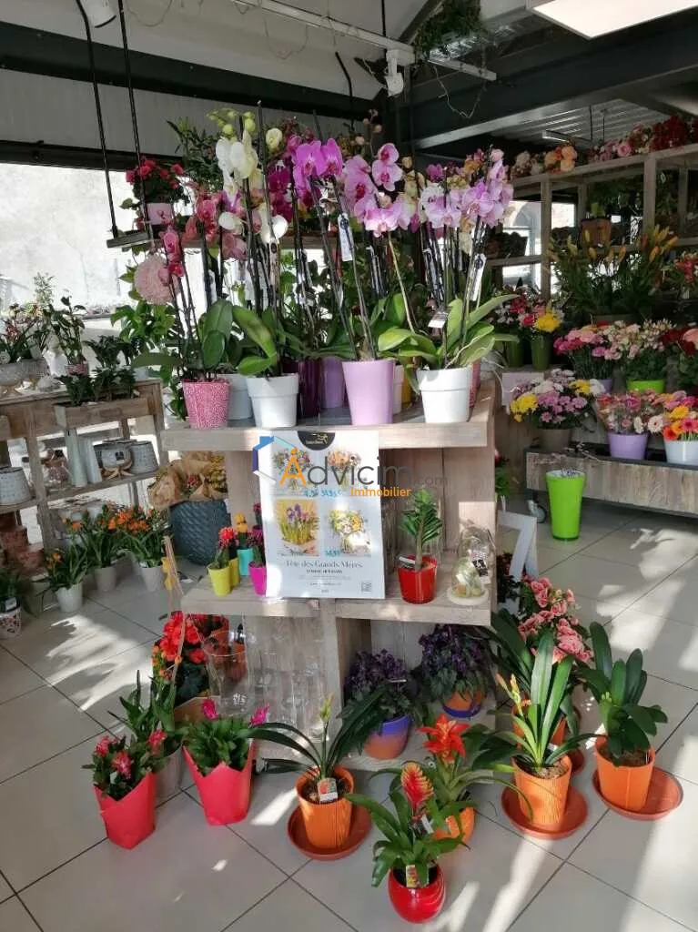 Fonds de commerce fleuriste à vendre à Dun-sur-Auron avec emplacement de choix 