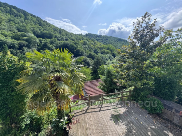 Maison de campagne rénovée à Saint-Girons avec terrasse et cheminée