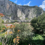 Maison de village en pierre avec jardin à vendre à Anduze (30140)