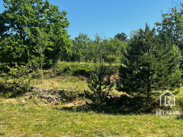 Terrain de 9000 m² à Saint-ÉTIENNE-DE-GOURGAS - Cadre naturel, non constructible