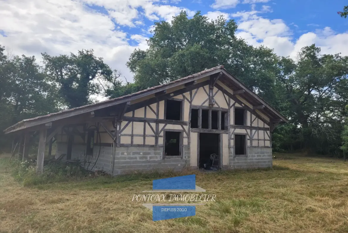 Propriété à vendre avec maison, bergerie et piscine proche de l'océan à Laluque 