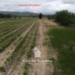 Terrain agricole plat de 3380 m² à Lansac proche d'Estagel