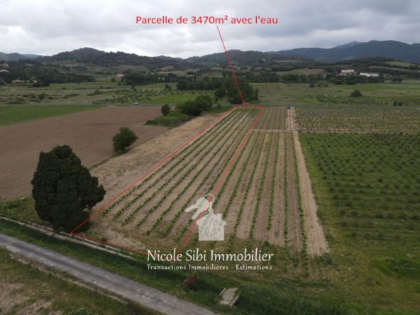 Terrain agricole plat à vendre à Estagel avec vue sur le Canigou